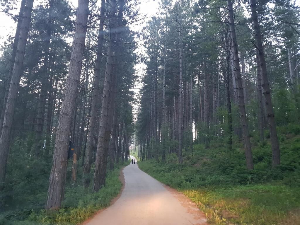 Виллы Forest Paradise - three bedroom villa Колашин-54