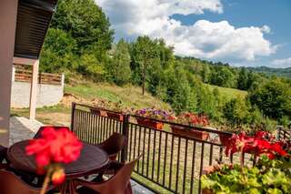 Виллы Forest Paradise - three bedroom villa Колашин Вилла с 3 спальнями-37