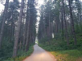 Виллы Forest Paradise - three bedroom villa Колашин Вилла с 3 спальнями-4