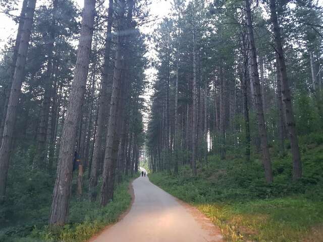 Виллы Forest Paradise - three bedroom villa Колашин-6