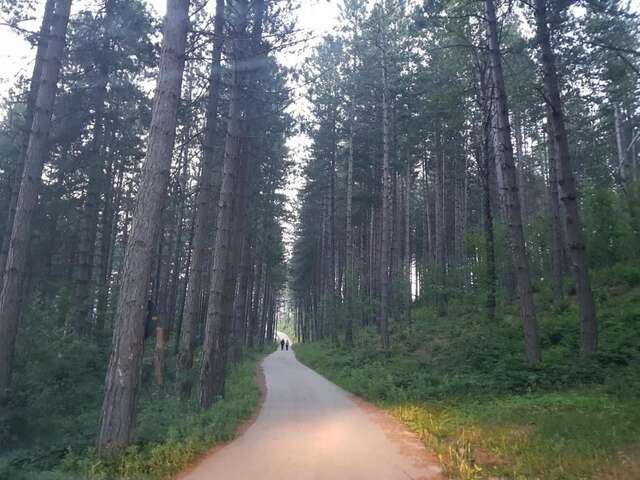 Виллы Forest Paradise - three bedroom villa Колашин-53